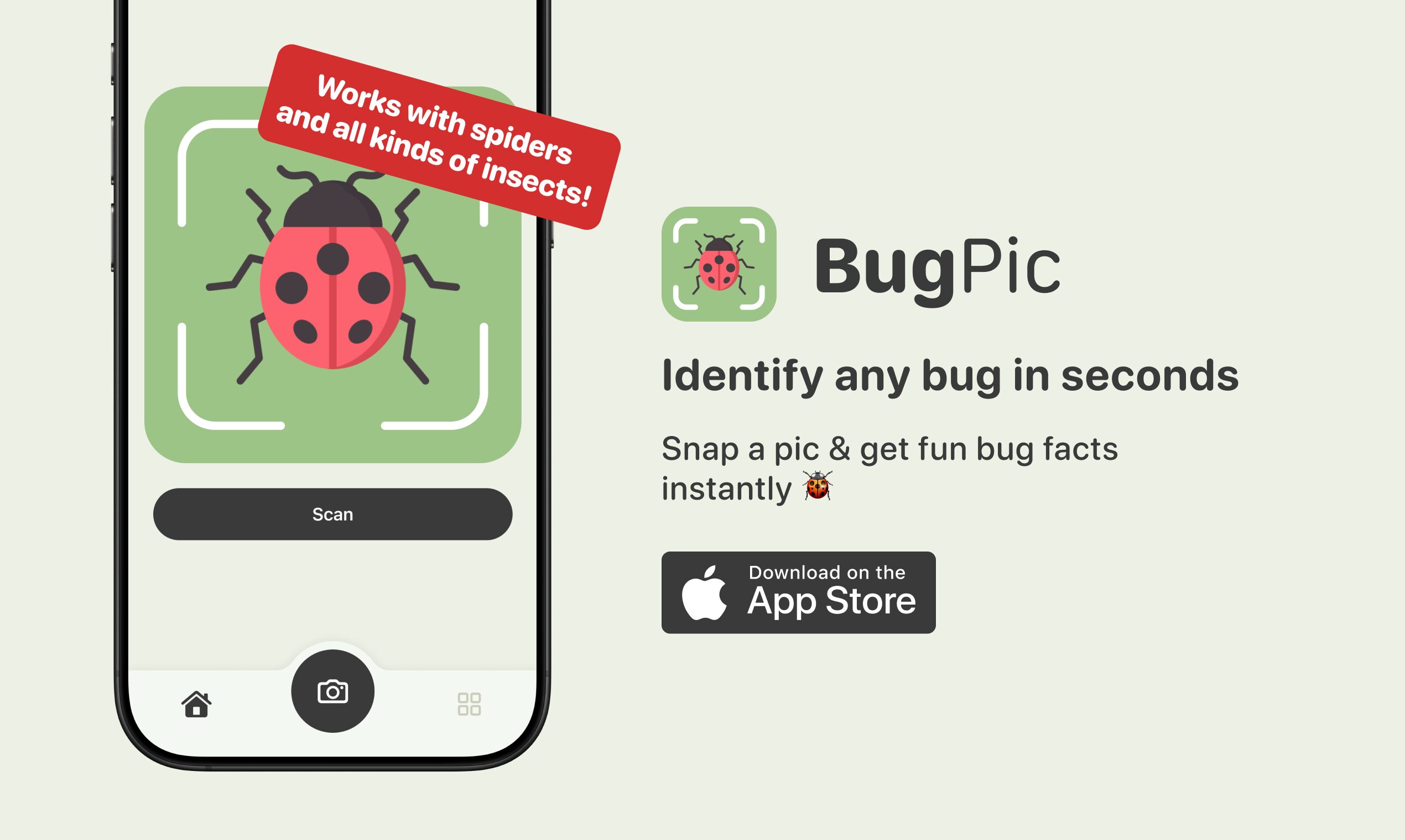 BugPic
